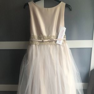Pink Princess Girl’s Dress